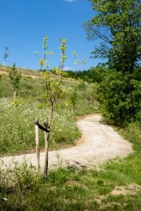 paden meanderend op natuurbegraafplaats eygelshof