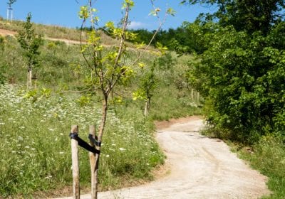 paden meanderend op natuurbegraafplaats eygelshof