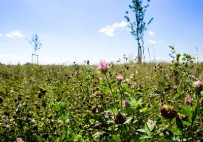 natuurbeheer eygelshof