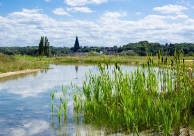 vragen over natuurbegraafplaats