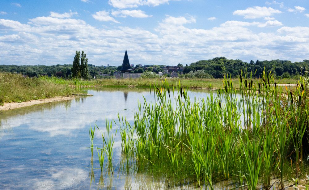 vragen over natuurbegraafplaats