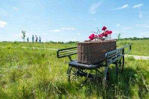 natuurbegraafplaats rouwkoets mand