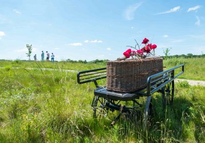 natuurbegraafplaats rouwkoets mand