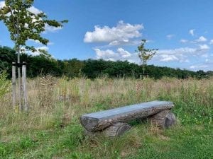 natuurbegraafplaats herdenking