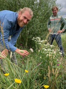 plantdeskundige eetbare-planten-wandeling