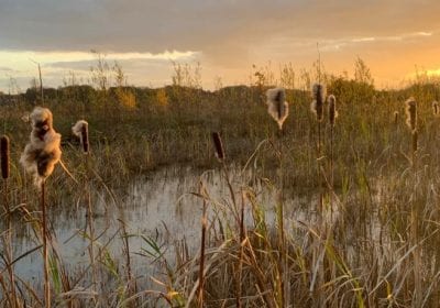 Foto van Eygelshof met avondzon