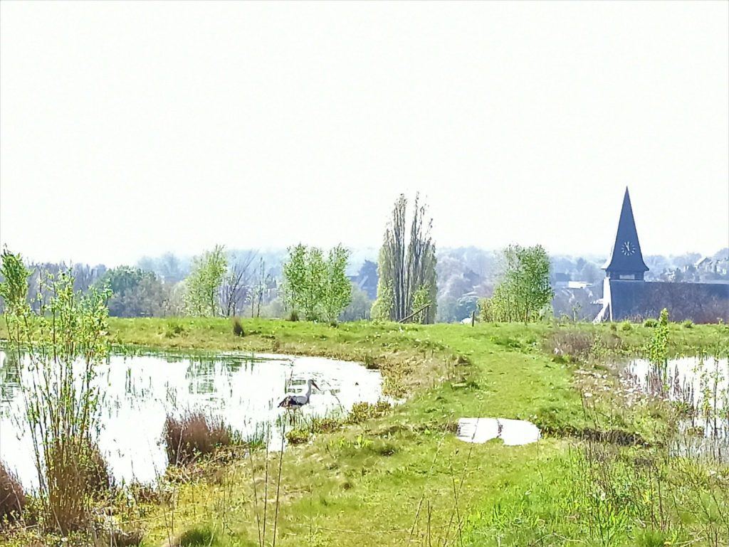 Afbeelding Ooievaar op Eygelshof