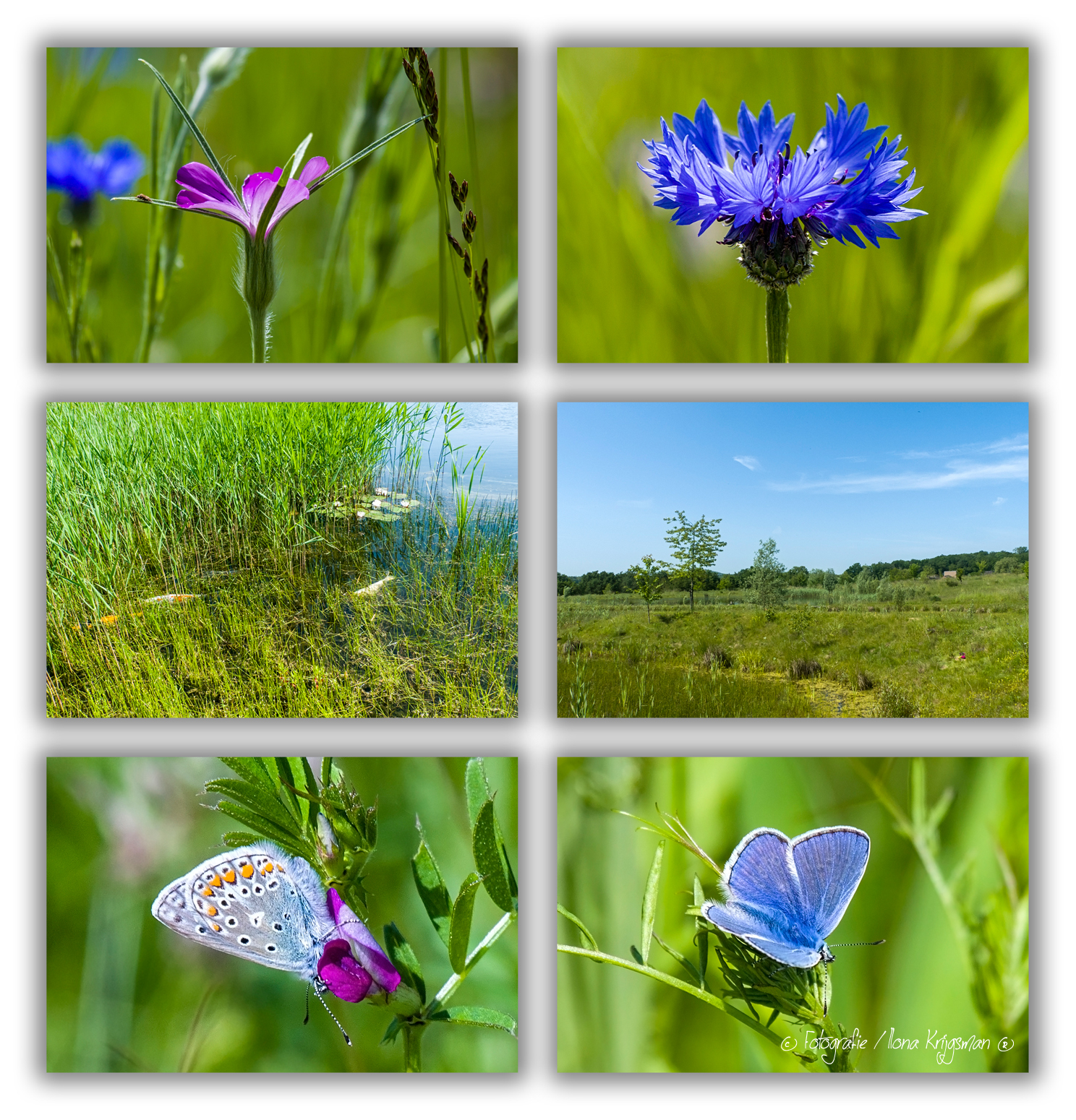 Bezoek natuurbegraafplaats mei 2023