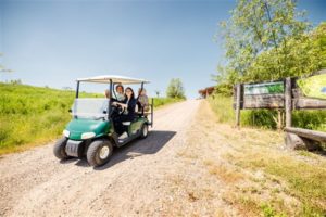 Eygelshof in beeld, Elektrowagen