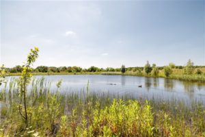 Eygelshof in beeld, waterpoel op Eygelshof