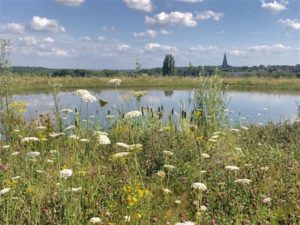 Bloemen op Natuurbegraafplaats Eygelshof