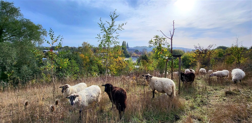 Naturschutz